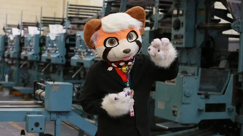Furros, una combinación entre la creatividad y el arte